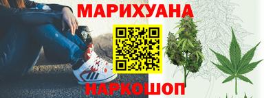 шишки Будённовск